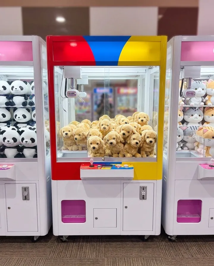 El mismo perro convertido en peluches dentro de una máquina de garra